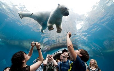 Thumbnail for Pittsburgh Zoo & Aquarium